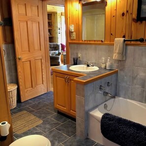 Hair dryer, towels, soap, toilet paper