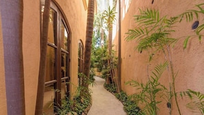A narrow pathway flanked by stucco walls and tropical plants, leading to a building with large windows.