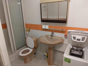 Hair dryer, towels, toilet paper - ELISE Villa stocking (Saint-François)
