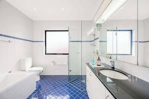 Shower, hair dryer, towels