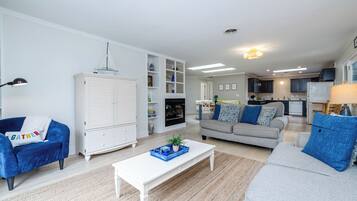 TV, fireplace, books