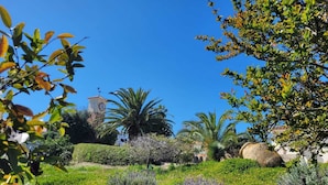 A garden with various plants, a palm tree, and a clock tower. - Impressive villa with private pool & sea views on a finca (AN)