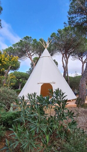 Une tente blanche avec une porte, entourée de verdure et d’arbres.