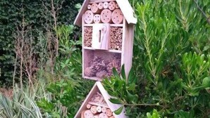 Une structure en forme de nichoir, dotée de plusieurs compartiments et entourée d’un feuillage dense.