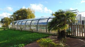Une serre dotée d’un toit transparent, entourée d’une clôture en bois et de palmiers.
