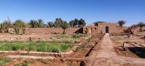 Exterior - Guest room in authentic desert farmhouse (Tilogui)