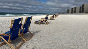 A beach with rows of blue and wooden beach chairs, a sandy shore, and a building in the background.