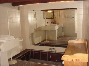 Shower, hair dryer, bidet, toilet paper