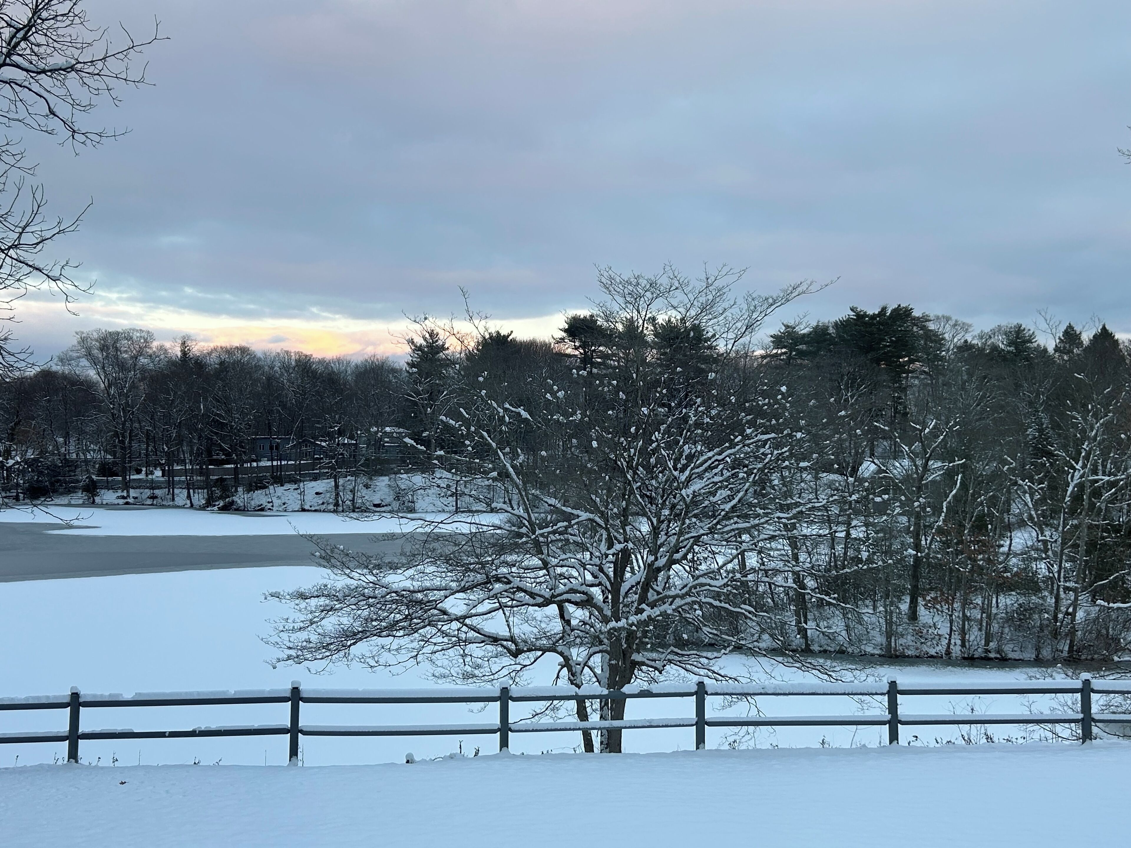 Een besneeuwd landschap met een houten hek, kale bomen en een waterpartij.