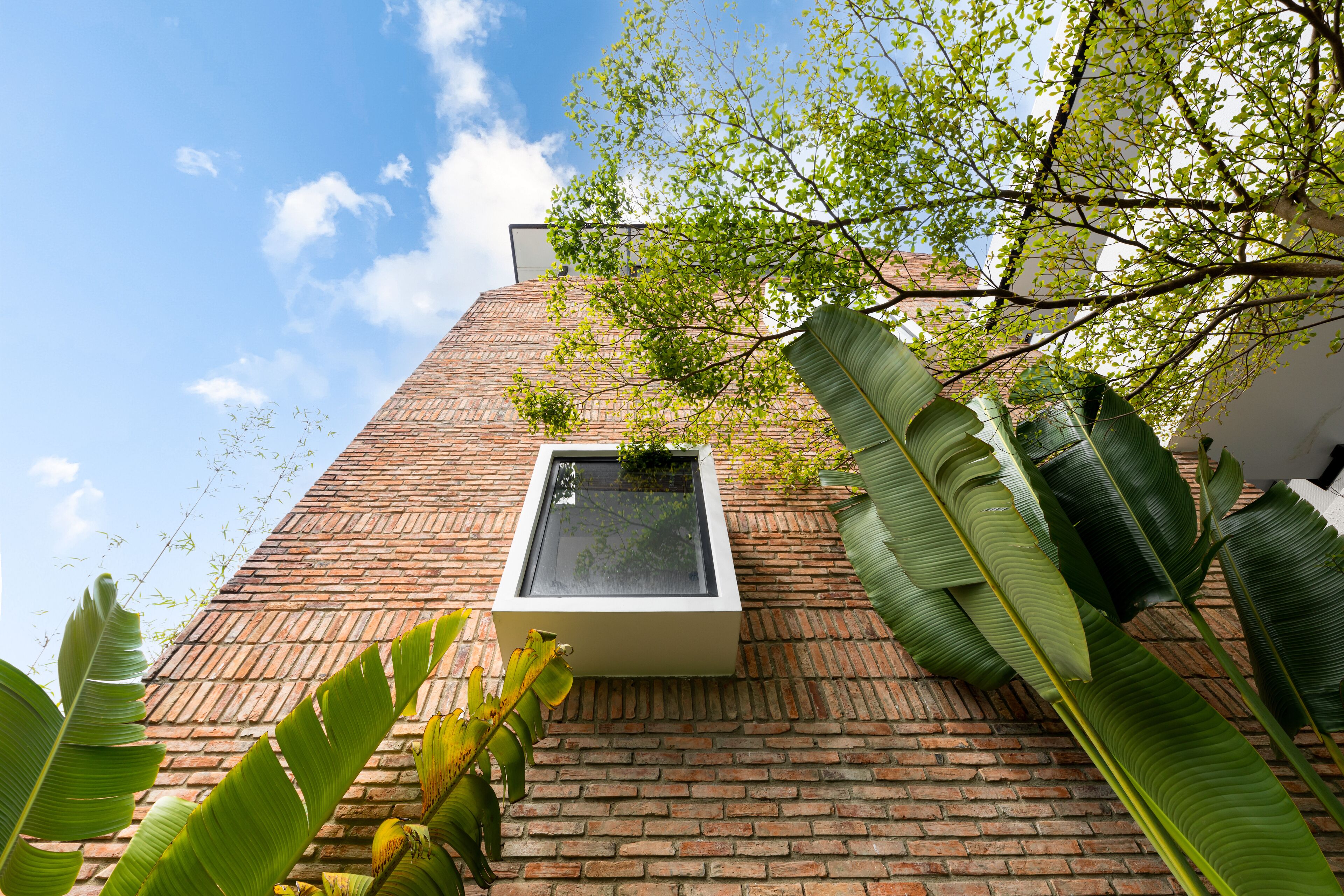 Un edificio moderno con fachada de ladrillo, una ventana que ofrece vistas al cielo y grandes hojas verdes al frente.