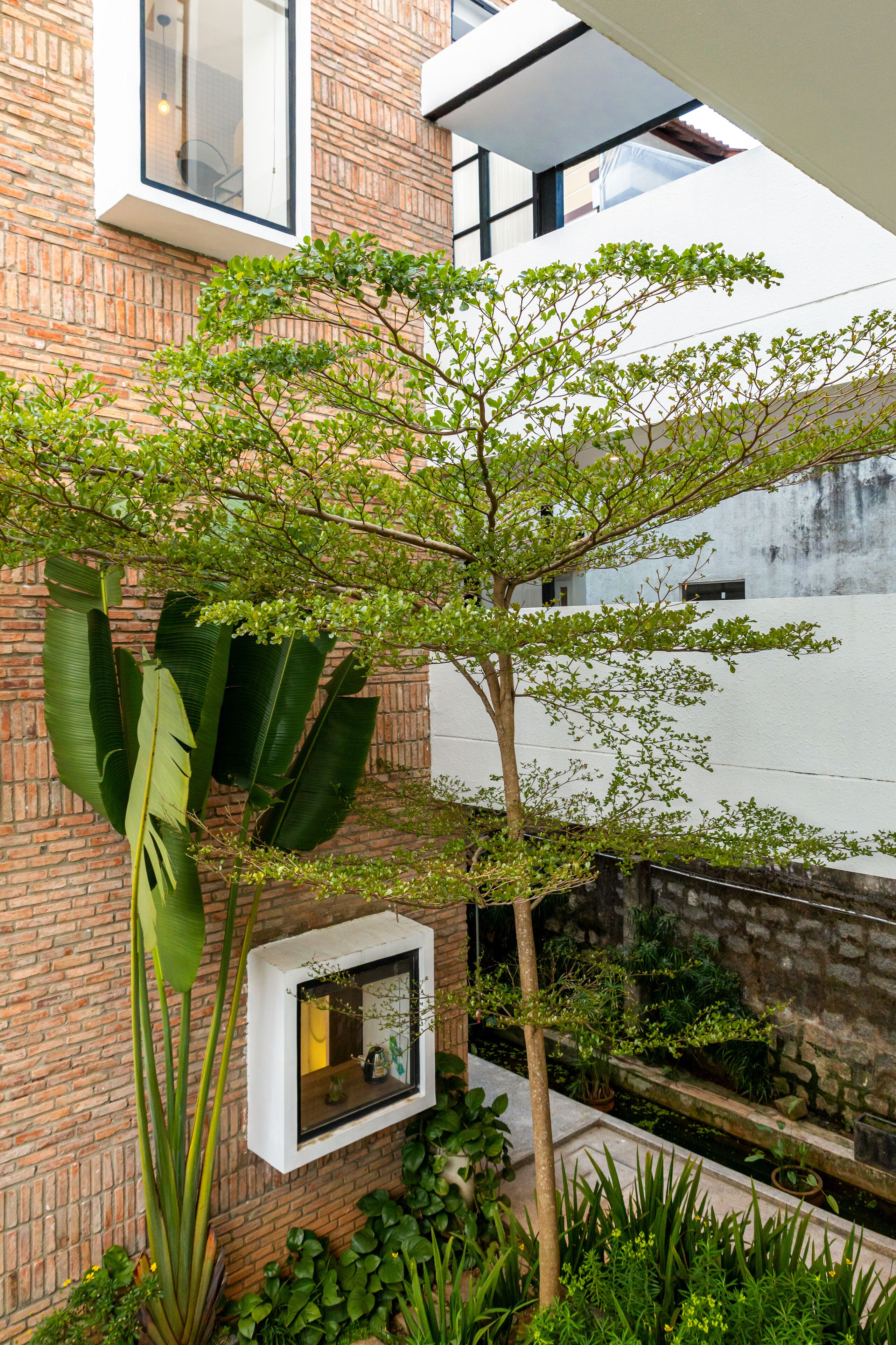 A modern building with a brick facade, a small tree, and a window with a framed picture.