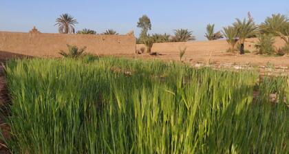 Authentic stay in tranquil farmstead. Take a break in our peaceful oasis.
