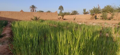 Authentic stay in tranquil farmstead. Take a break in our peaceful oasis.