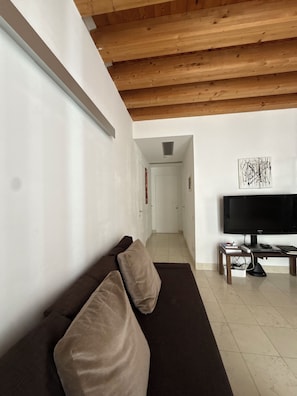 A modern living room with a dark brown sofa, a flat-screen TV on a wooden stand, and a hallway leading to another room. - The Gardener's Pavilion (Venezia)