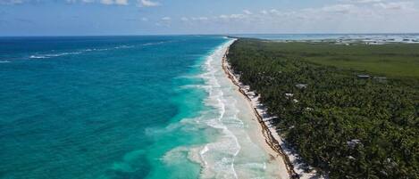 Playa