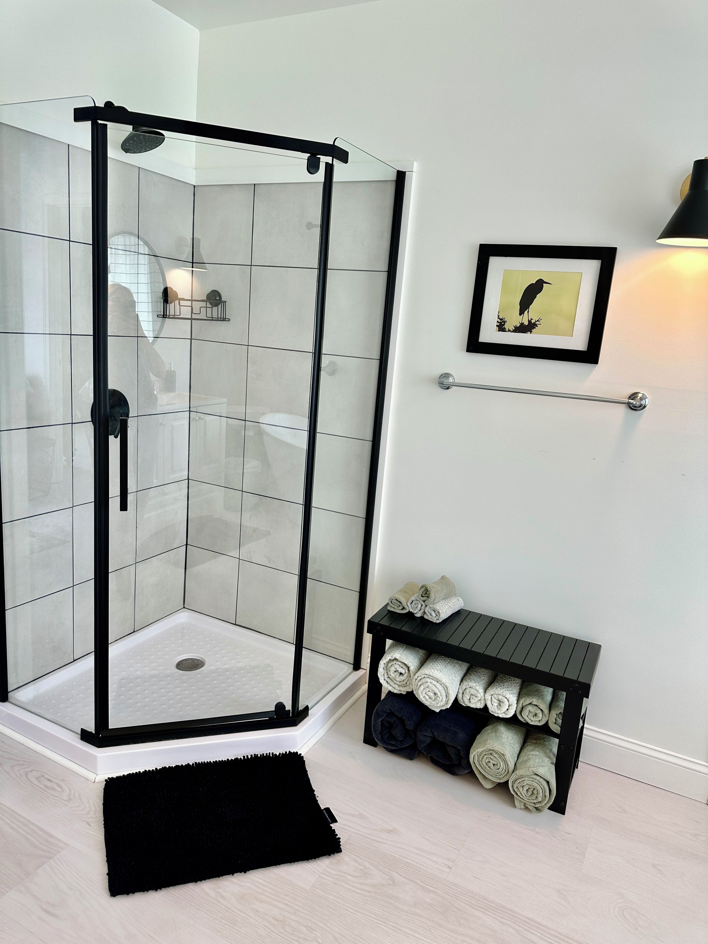 Hair dryer, towels, soap, shampoo