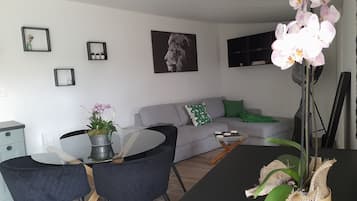 Fernseher, DVD-Player, Bücher