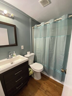 Combined shower/tub, soap, toilet paper - 23 B ST Apartments  (Hampton)