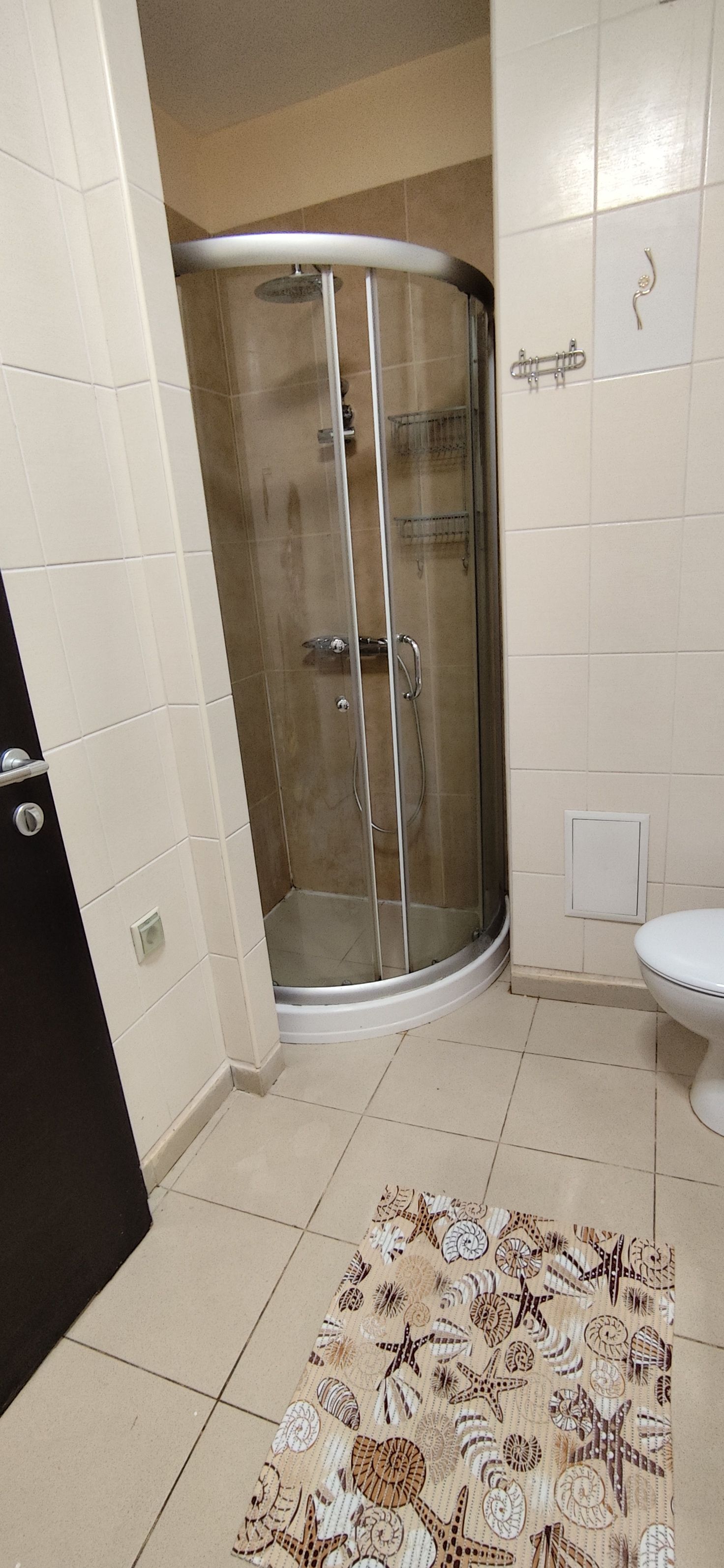 Une salle de bain avec une douche à parois de verre, des toilettes et un tapis à motifs sur le sol.