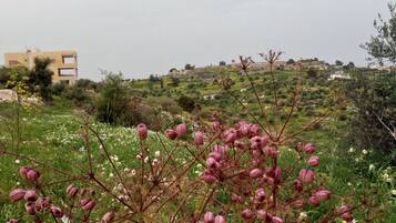Carte de lâhĂ©bergement
