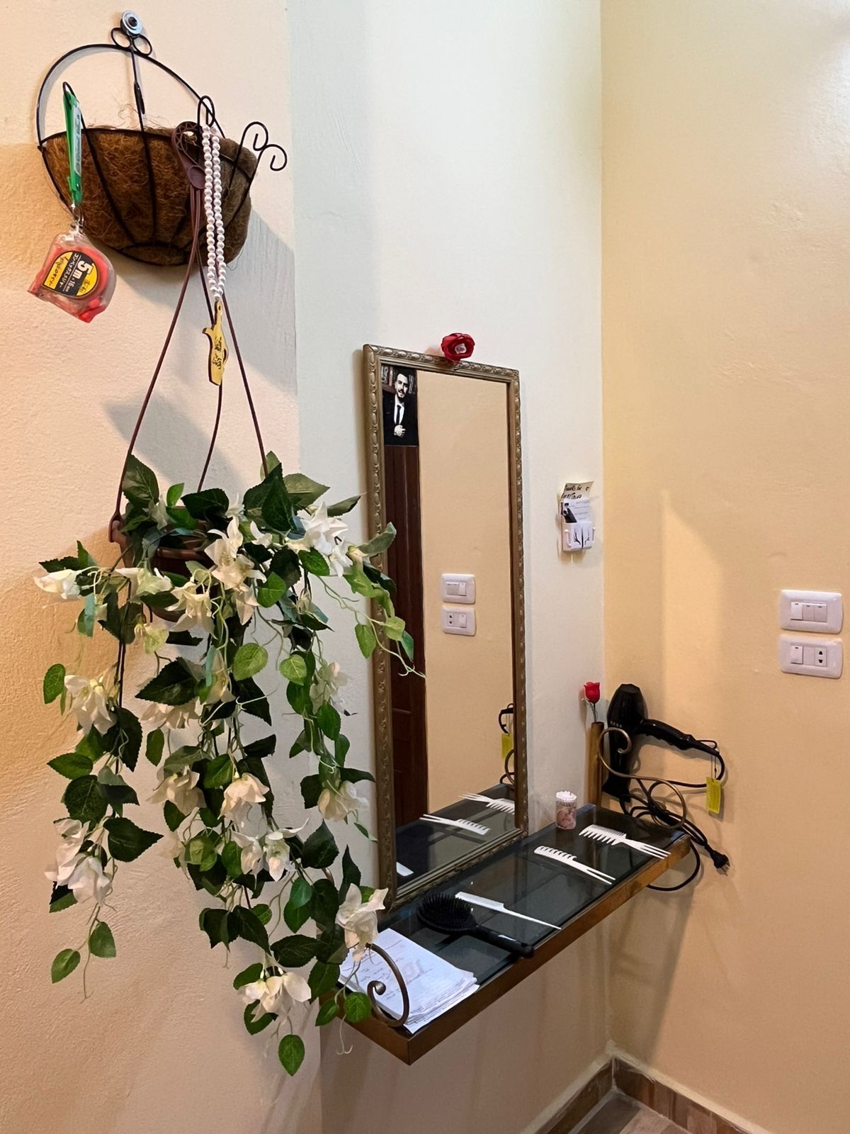 Un baño con espejo, lavamanos y una planta colgante.