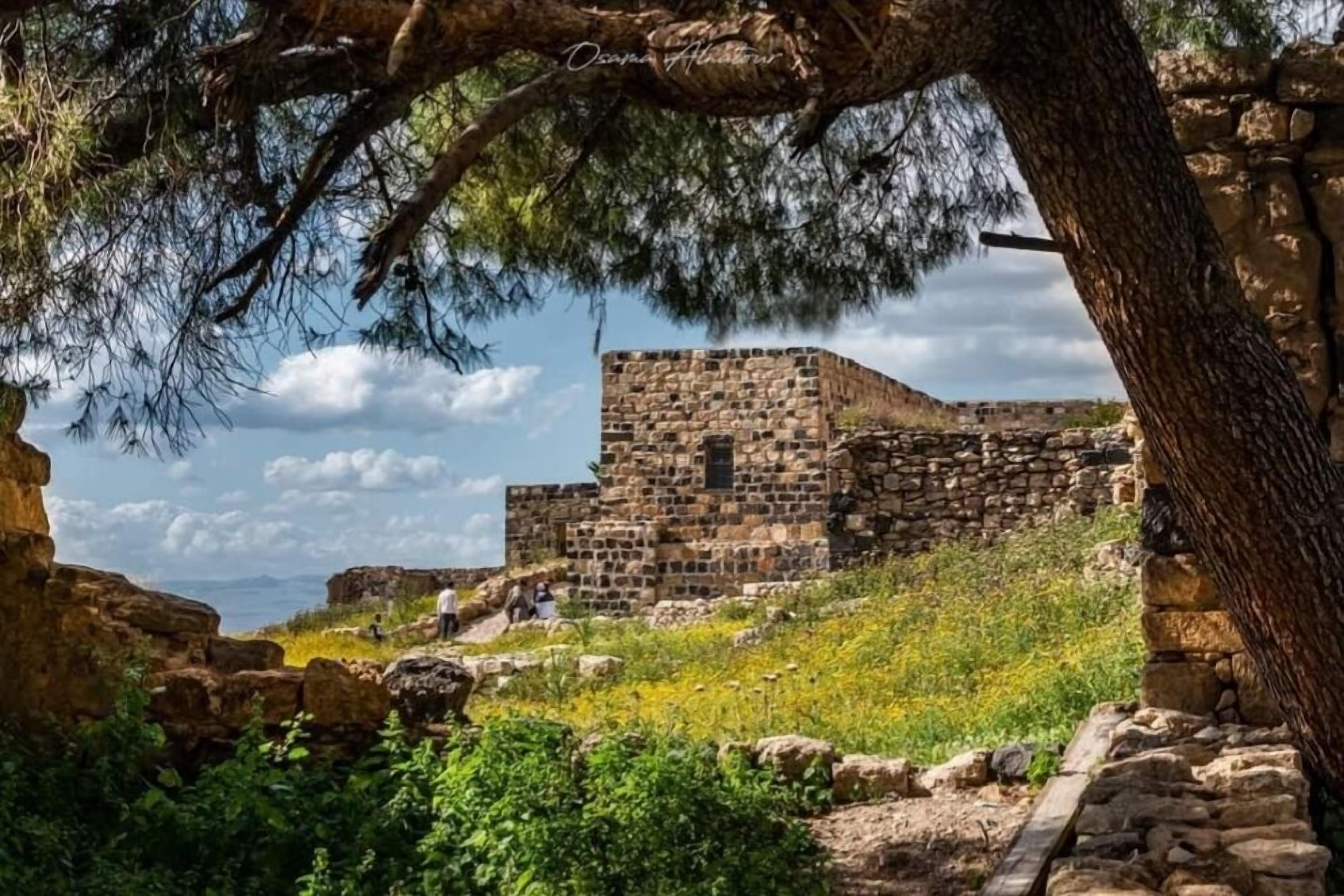 An ancient stone structure with a stone staircase leading up to it, surrounded by greenery and a clear sky.