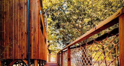 Aloudi House
