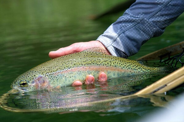 Right out the front door or minutes away on one of the numerous fishing lakes