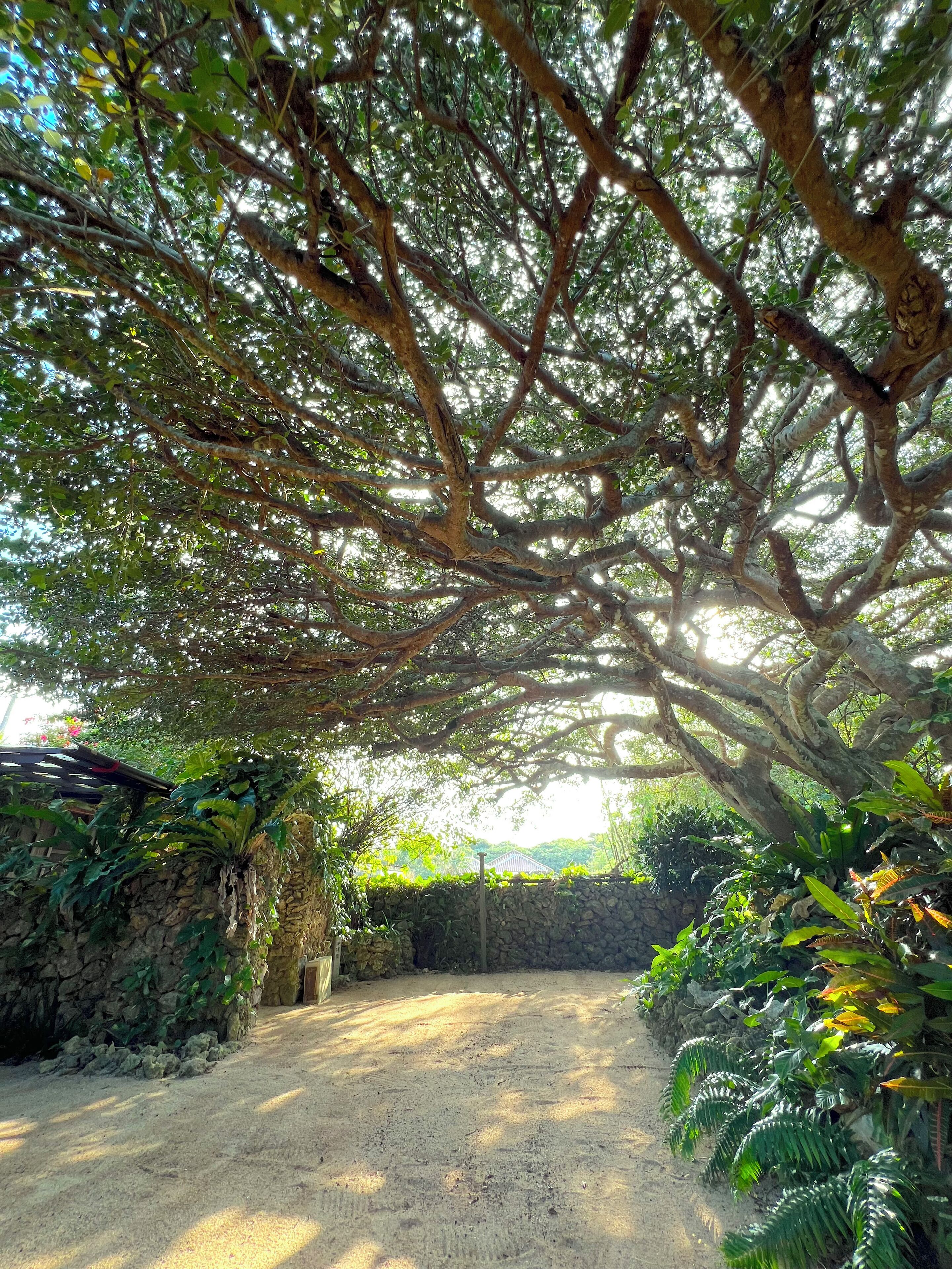 Overnattingsstedets uteområder