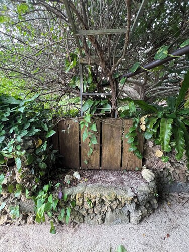 Maison Paradis Taketomi A healing retreat in the center of the island