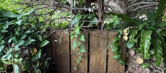 Maison Paradis Taketomi A healing retreat in the center of the island