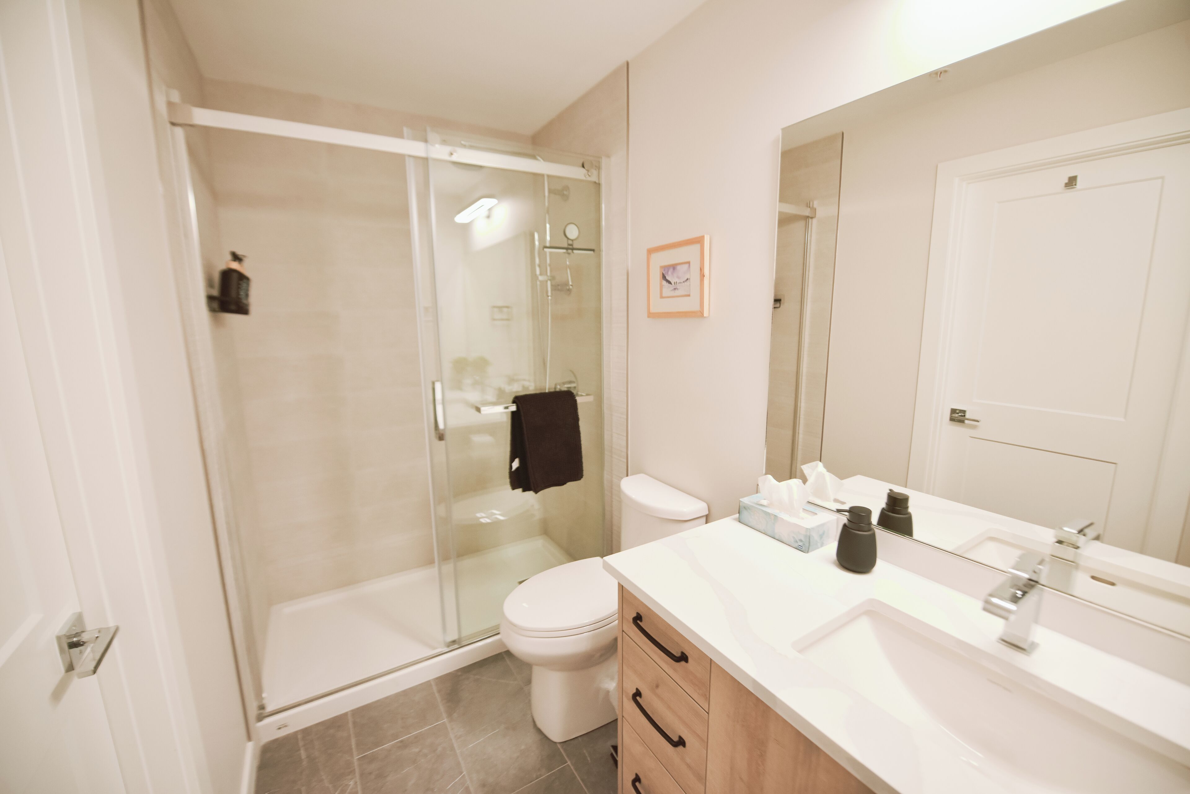 Hair dryer, towels, soap, shampoo