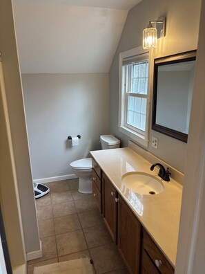 Shower, towels, toilet paper