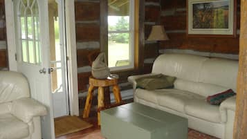 TV, DVD player, video library