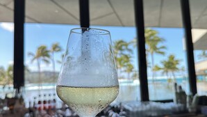 Una mano sostiene una copa de vino blanco con condensación, una zona de bar y amplios ventanales con vistas a palmeras y una piscina.