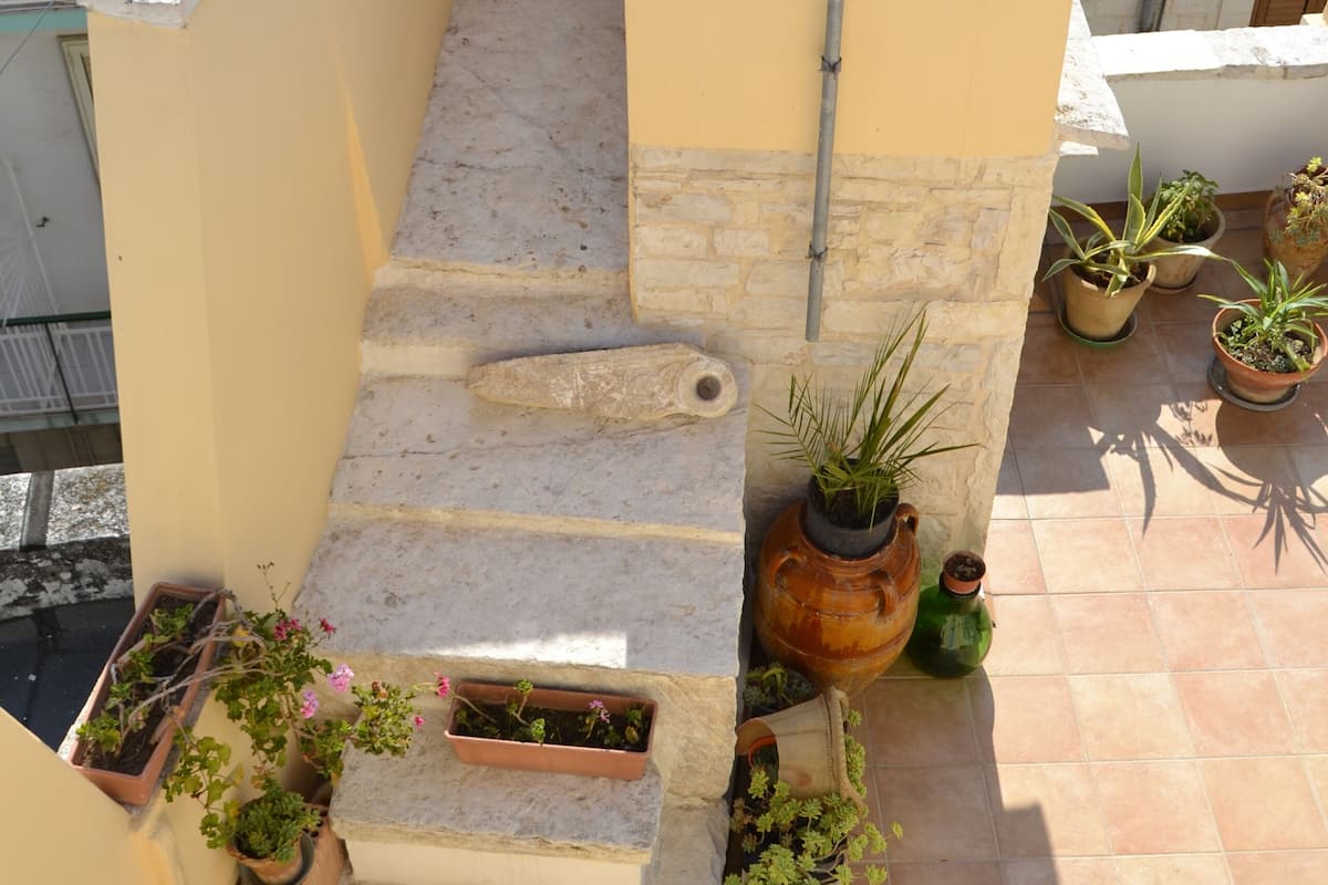 A small, enclosed outdoor area with steps leading up to a door, surrounded by potted plants and a tiled floor.