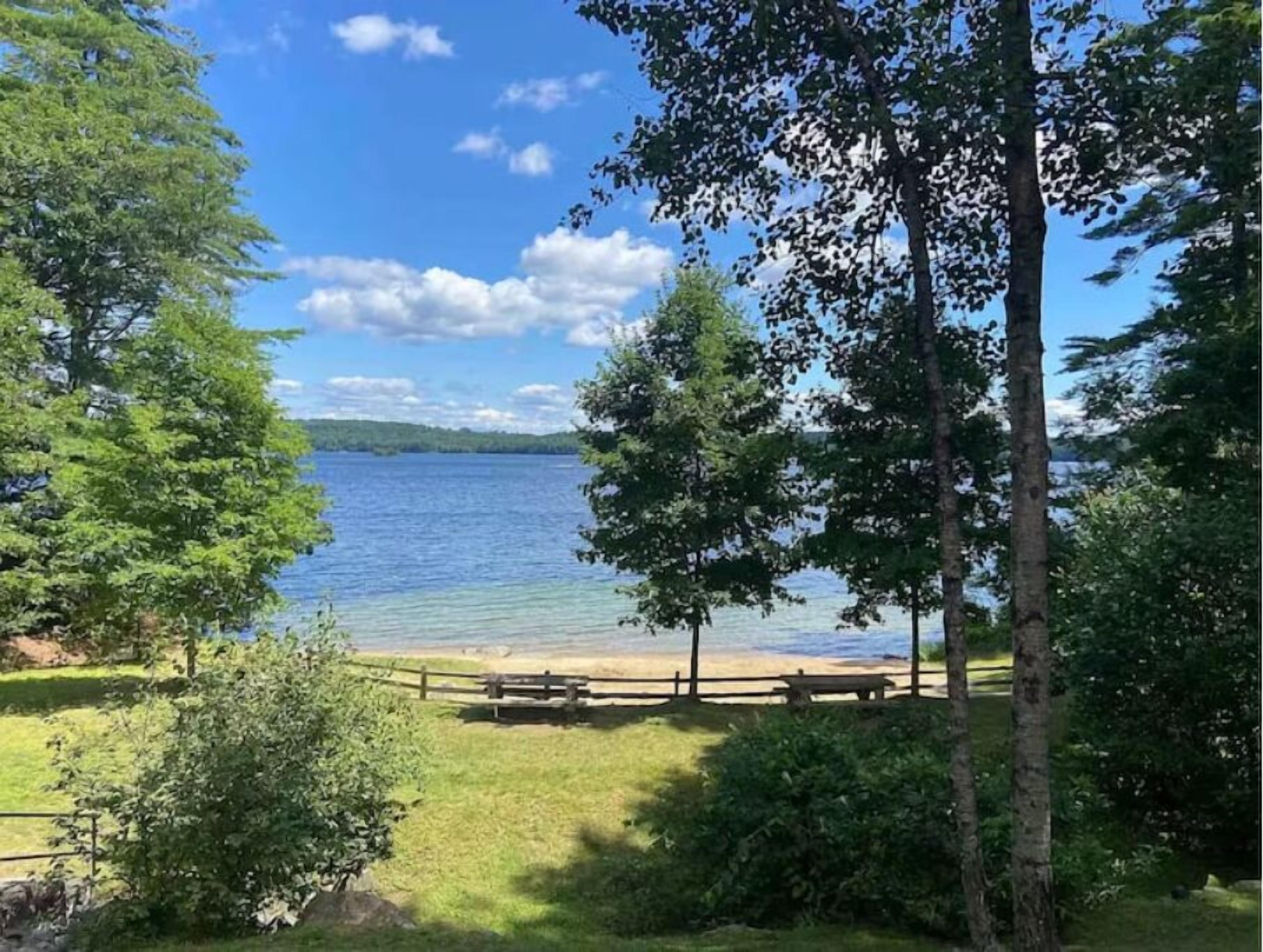 A lakeside view with a wooden deck and picnic table, surrounded by trees and a clear sky.