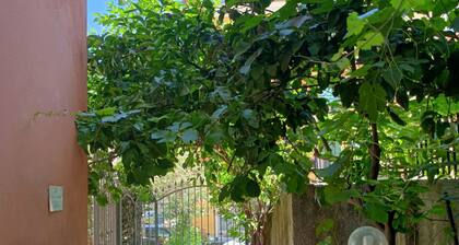 Cozy 2-bedroom corporate apartment in welcoming Cosenza with WiFi