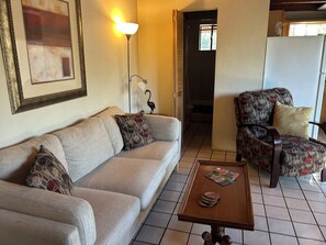 TV connectée, cheminée, livres