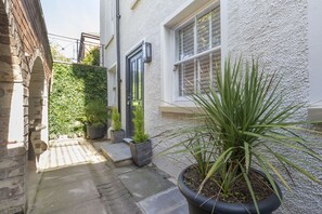 Une petite cour intérieure avec un pot de fleurs, une porte et une fenêtre avec des volets.