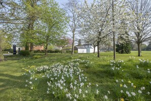 A grassy area with white and yellow flowers, trees, and a small building.