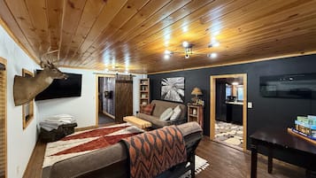 Smart TV, fireplace, books