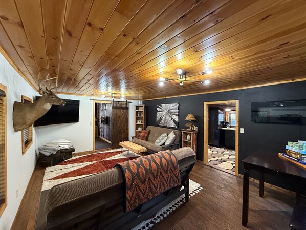 Smart TV, fireplace, books