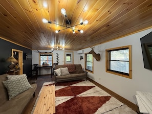 Smart TV, fireplace, books