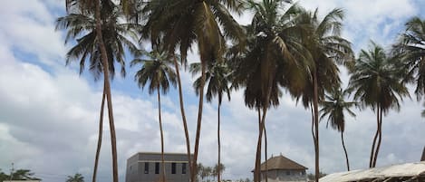 Playa