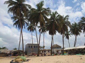 Una spiaggia con palme, un bar e un edificio con un cartello che recita 'The Factory Bar'.