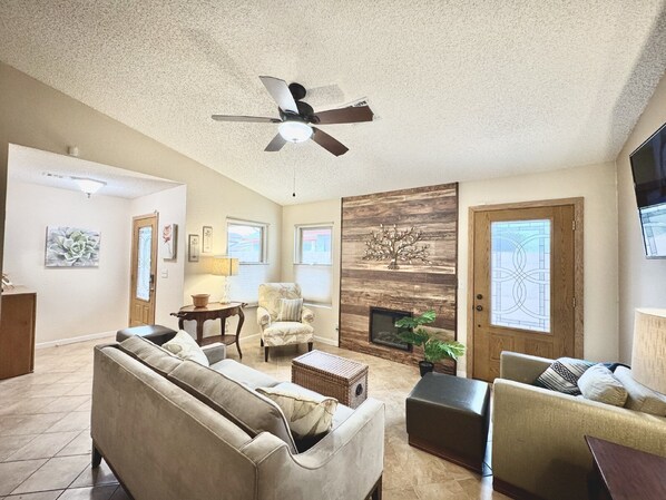 TV connectée, cheminée, lecteur de DVD, livres