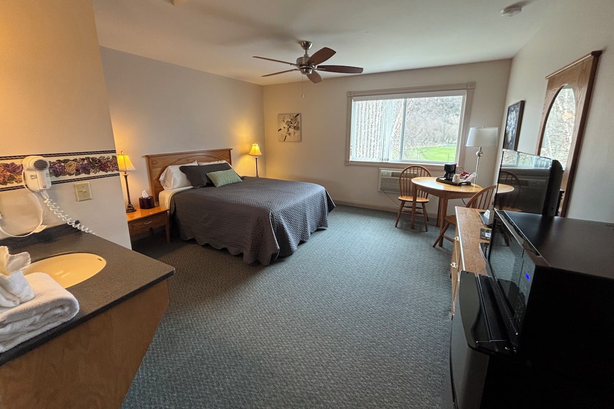 A hotel room with a bed, a desk, a chair, a sink, and a ceiling fan.