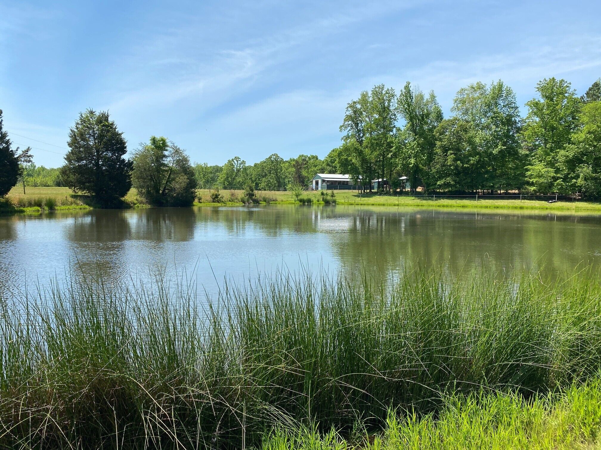 A serene pond with surrounding greenery and a building in the background.