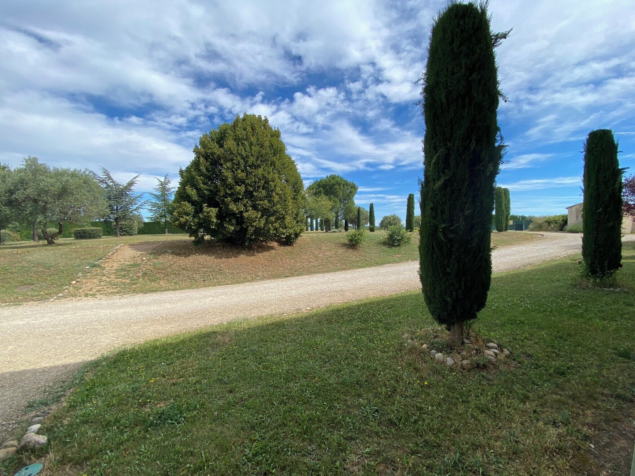 A gravel path leading through a park with neatly trimmed hedges and trees.